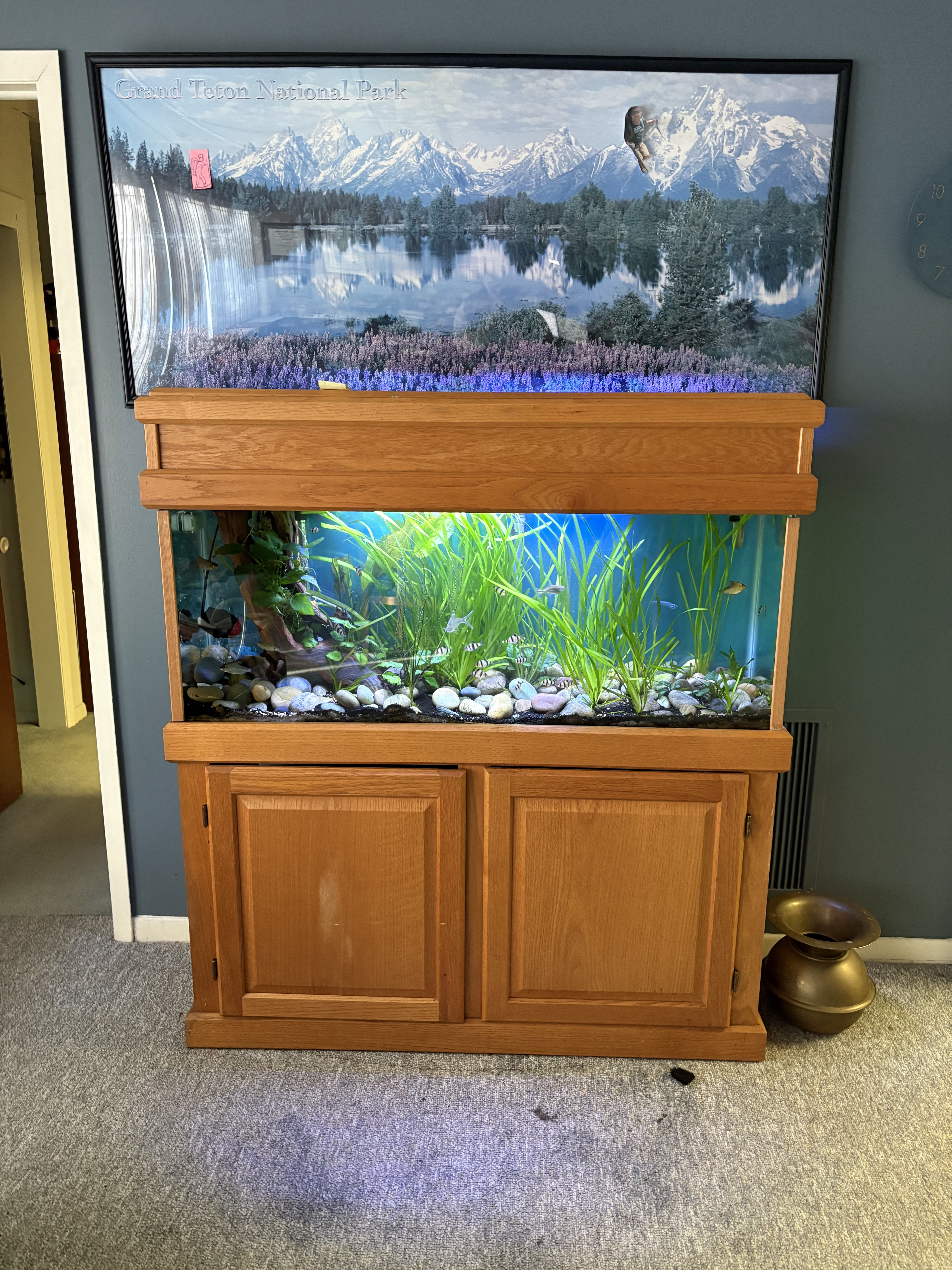 Home aquarium installation
