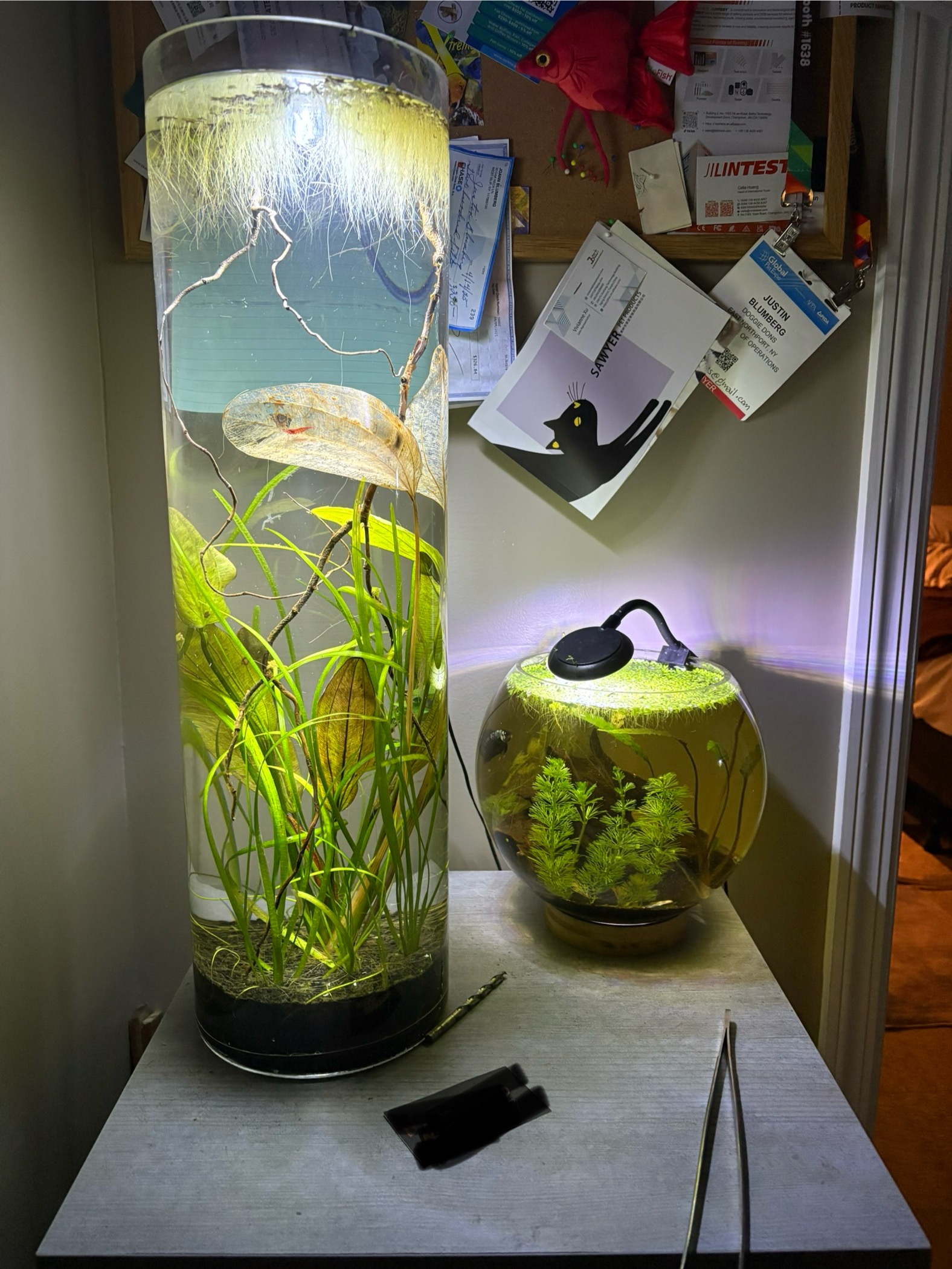 Desktop self-sufficient shrimp tank